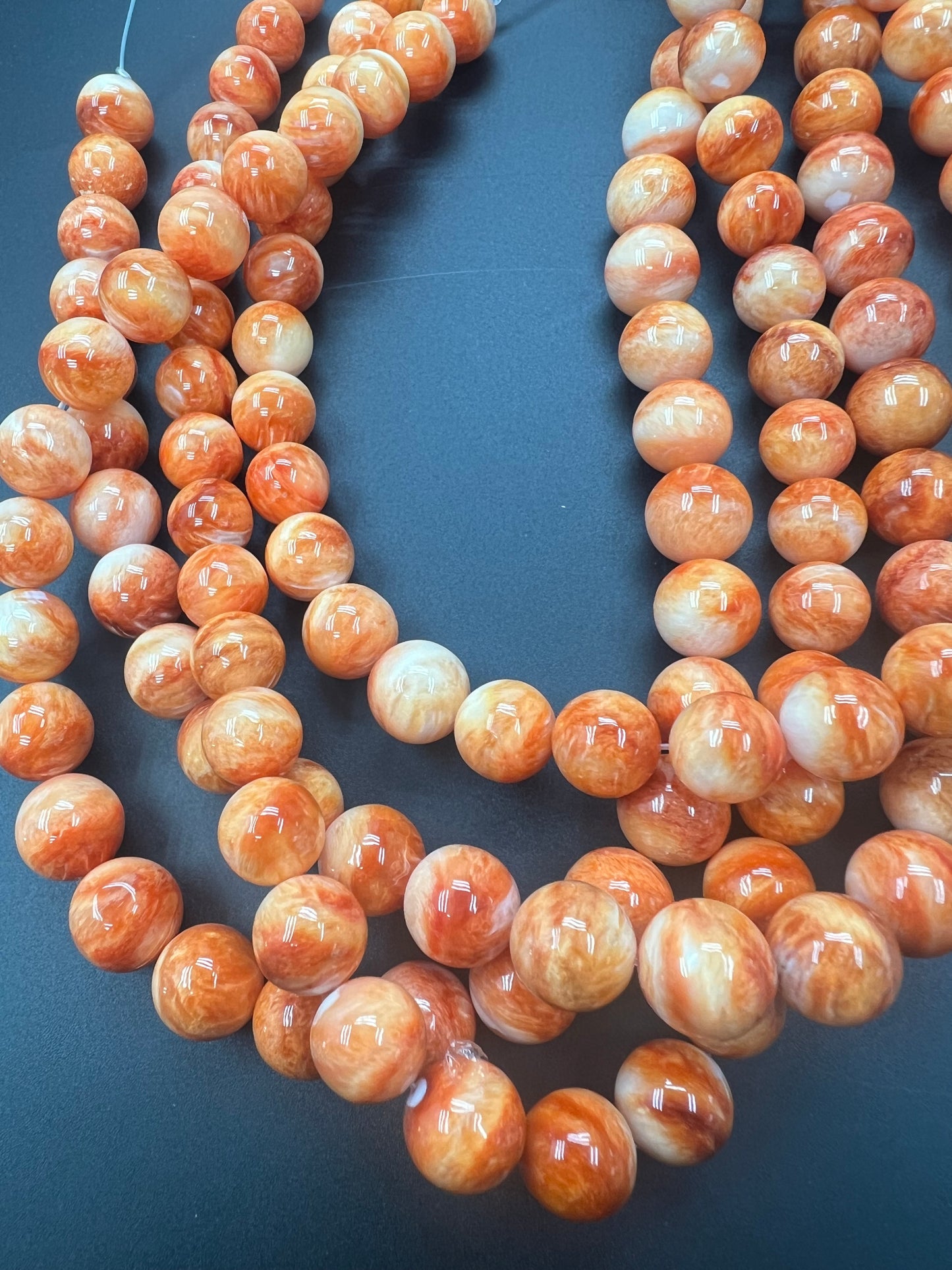 Spiny Oyster Shell Round Beads 12mm Orange/Red