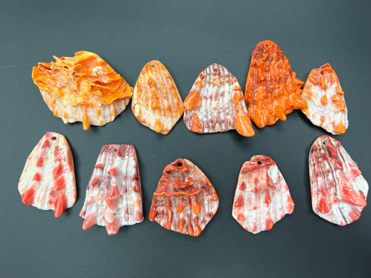 Natural Spiny Oyster Shell Druzy Shell Free Form Pendant (Orange/Red)