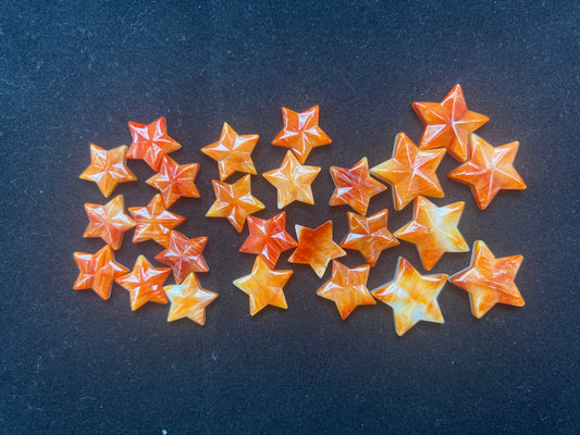 Spiny Oyster Star Pendant
