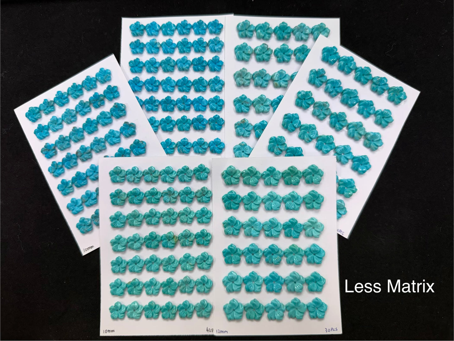 Turquoise Bauhinia Flower 10mm 12mm